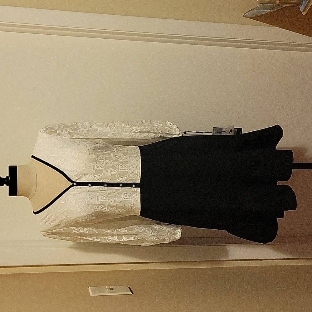 NWT: Karl Lagerfeld Paris Flounce Hem/ Fit and Flare Lace Dress